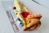 HUMAN EAR LARGE BILOLOGY LAB MODEL