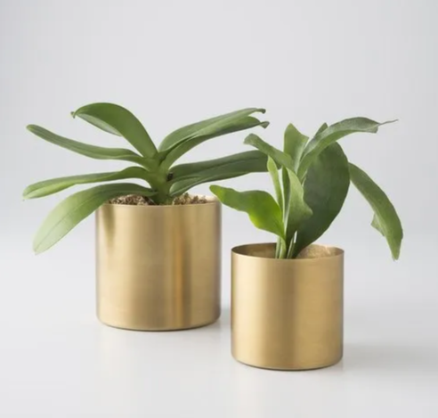 Brass Round Modern Flower Pots