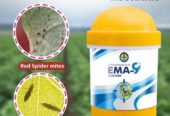 100gm EMA9 Insecticide