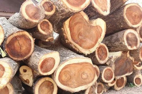 East Indian Walnut Wood