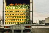 Fruits Transportation Service
