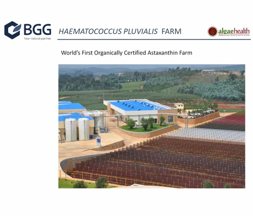 Natural Astaxanthin 4% Water Dispersible Powder