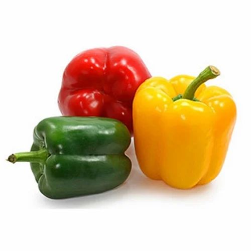 Poddar Farms Hydroponic Bell Pepper