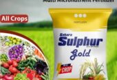 Sahara 3 Kg Sulphur Gold Fertilizer