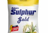 Sahara 3 Kg Sulphur Gold Fertilizer