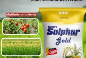 Sahara 3 Kg Sulphur Gold Fertilizer