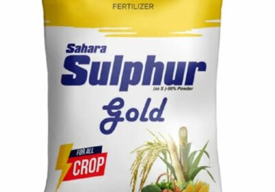 Sahara-3-Kg-Sulphur-Gold-Fertilizer