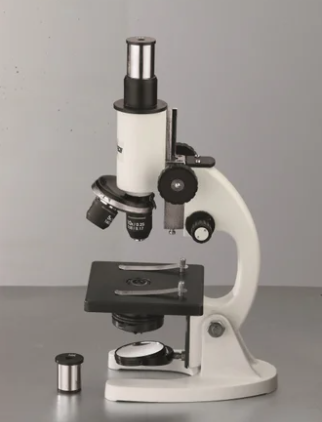 Student Compound Microscope