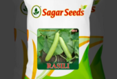 Rasili F-1 Hybrid Bottle Gourd Seed