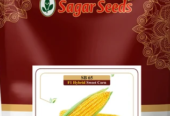 Sweety F-1 Hybrid Sweet Corn Seeds