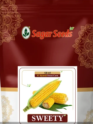 Sweety F-1 Hybrid Sweet Corn Seeds