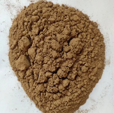 Dandelion Extract Powder