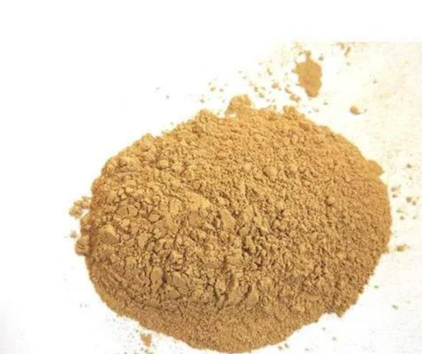 Echinacea Purpurea Extract