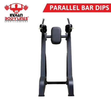 Parallel Bar Dips
