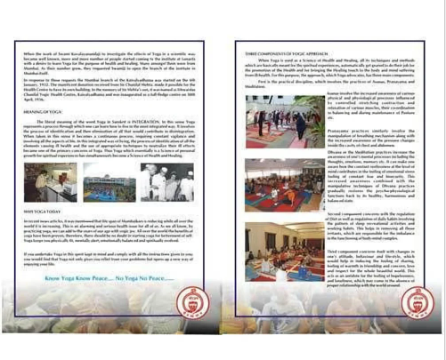 Postal Ballot Printing