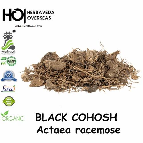 Black Cohosh Root