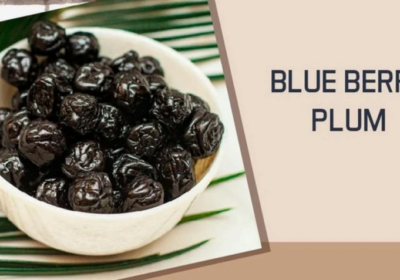 Dry-Blueberry-Plum