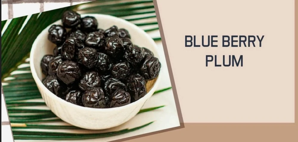 Dry Blueberry Plum