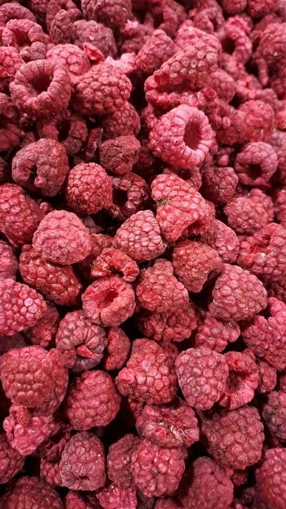 Freeze Dried Raspberries