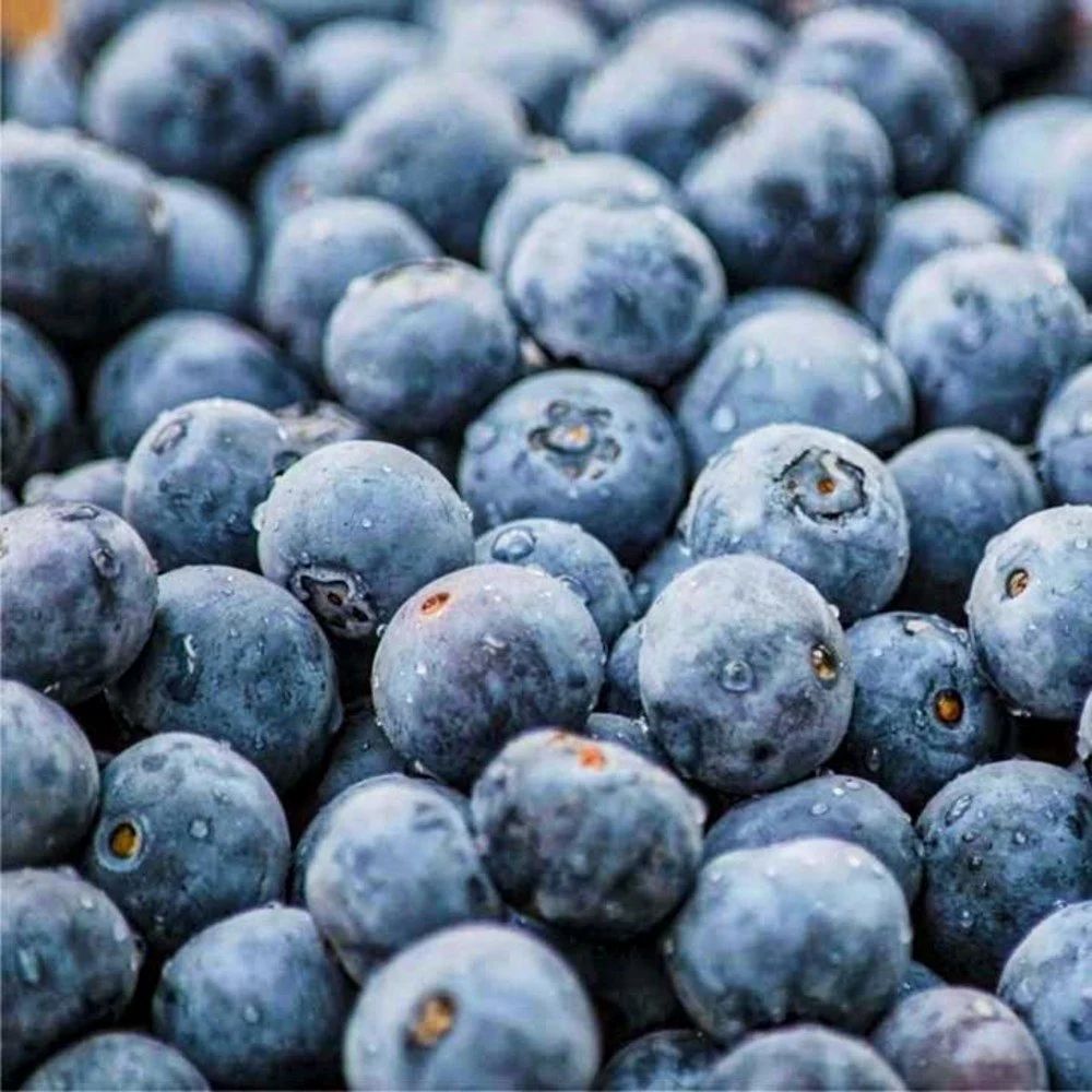 Frozen Imported Blueberry