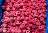 Frozen Imported Raspberry