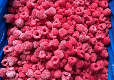Frozen-Imported-Raspberry