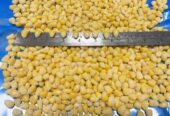 Frozen Sweet Corn Kernel