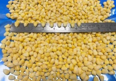 Frozen-Sweet-Corn-Kernel-1