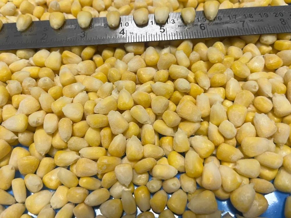 Frozen Sweet Corn Kernel