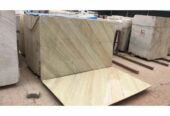 LGM Katni Green Shade Marble
