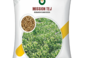 Mission Tej Research Cumin Seeds