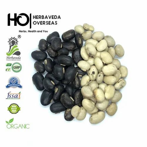 Mucuna Pruriens Kaunch Seeds