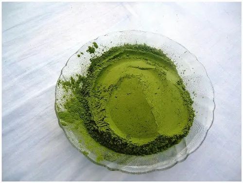 Organic Moringa Leaves and Powder