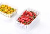 Plastic Fruit And Pepper Containers
