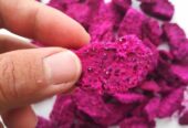 Purple Freeze Dried Dragon Fruit