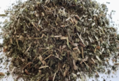 Dried Conventional Herbs Lemon Balm Leaves