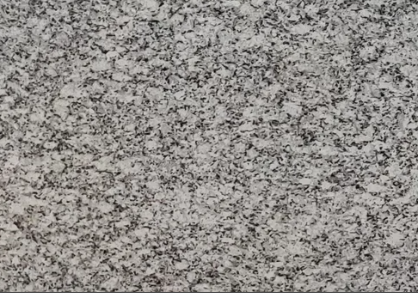Platinum white granite Slab