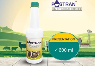 Screenshot-2025-10-13-170715