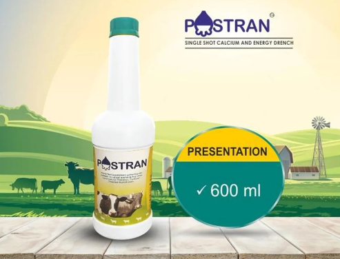 Postran Dairy Cattle Feed Supplements