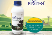 FIVIT-H Cattle Feed Supplement