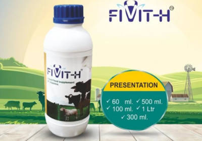 Screenshot-2025-10-13-171006