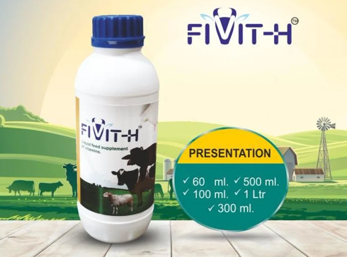 FIVIT-H Cattle Feed Supplement