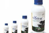 FIVIT-H Cattle Feed Supplement