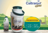 Chelated Caltramin Gold Cattle Feed Supplement