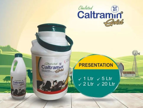 Chelated Caltramin Gold Cattle Feed Supplement