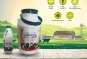 Chelated Caltramin Gold Cattle Feed Supplement