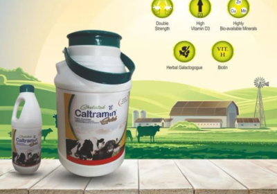 Screenshot-2025-10-13-171837