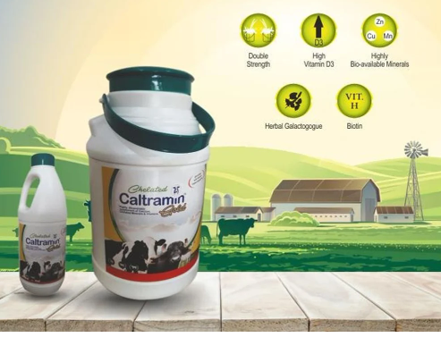 Chelated Caltramin Gold Cattle Feed Supplement