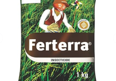 Screenshot-2025-10-17-195730