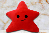 STAR FISH SOFT TOY